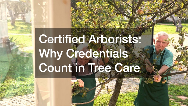Certified Arborists  Why Credentials Count in Tree Care