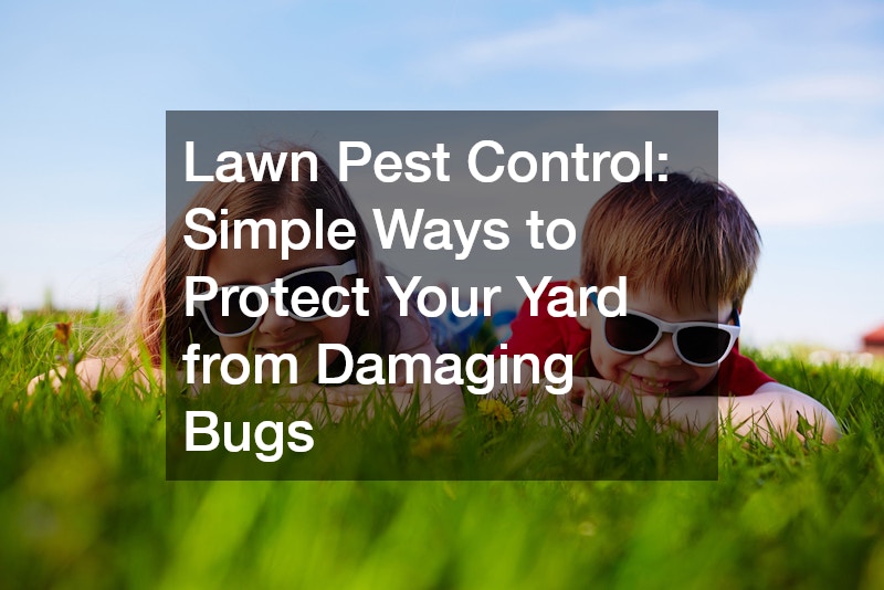 Lawn Care Services  How Professional Lawn Maintenance Keeps Your Yard Healthy